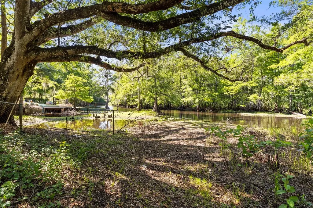 29133 Lawton Drive Nobleton FL 34661