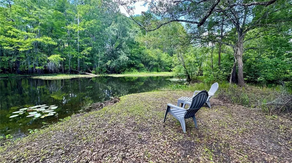 29133 Lawton Drive Nobleton FL 34661