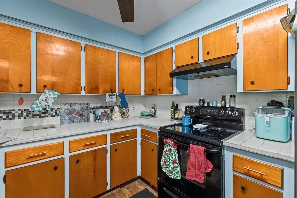 29133 Lawton Drive Nobleton FL 34661