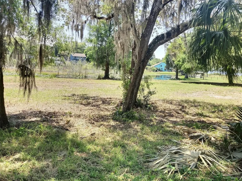 0 SE 110th Street Road Belleview FL 34420