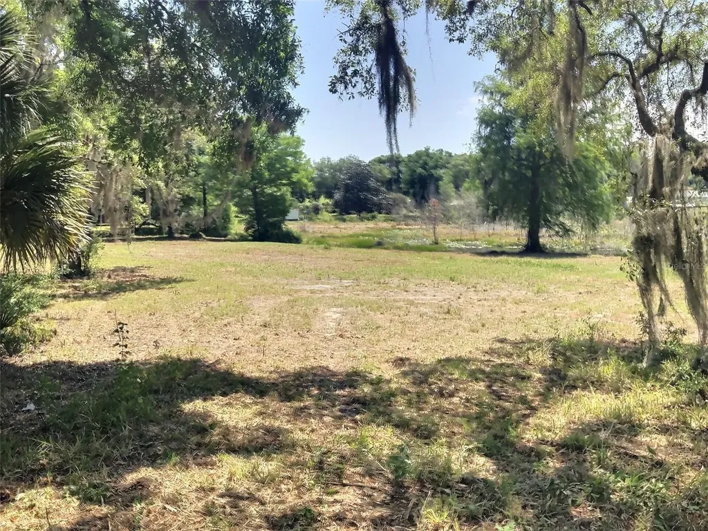 0 SE 110th Street Road Belleview FL 34420