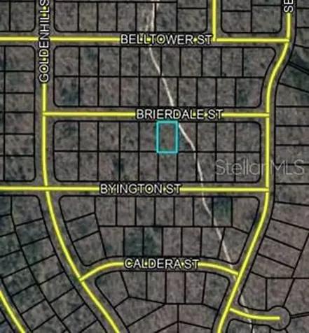 Lot 6 Brierdale Street Chipley FL 32428