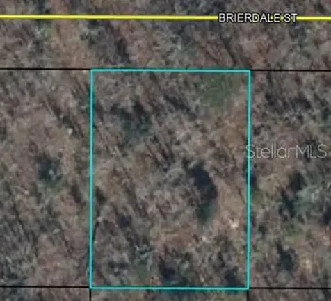 Lot 3 Brierdale Street Chipley FL 32428