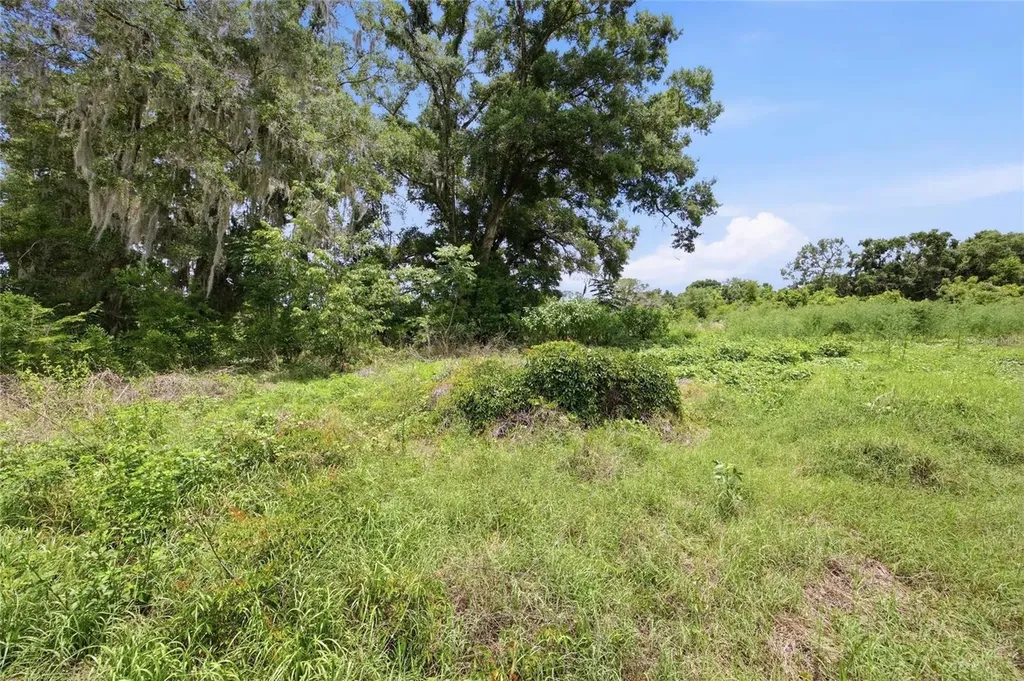12630 U.s. 441 Belleview FL 34420