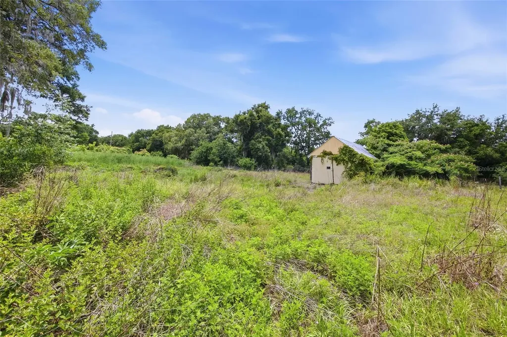 12630 U.s. 441 Belleview FL 34420
