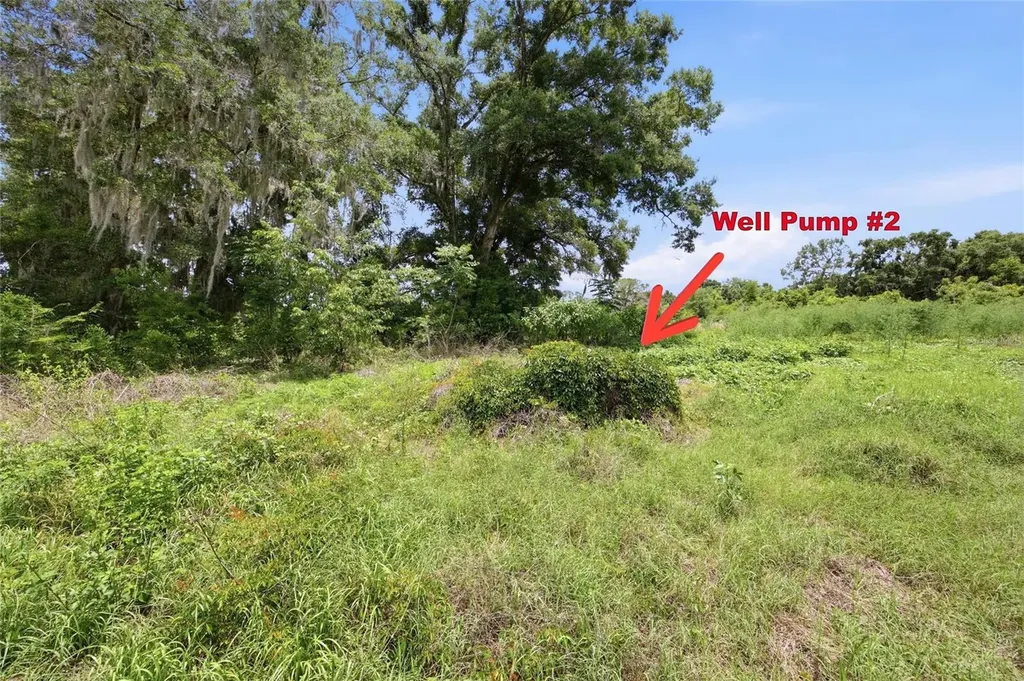 12630 U.s. 441 Belleview FL 34420