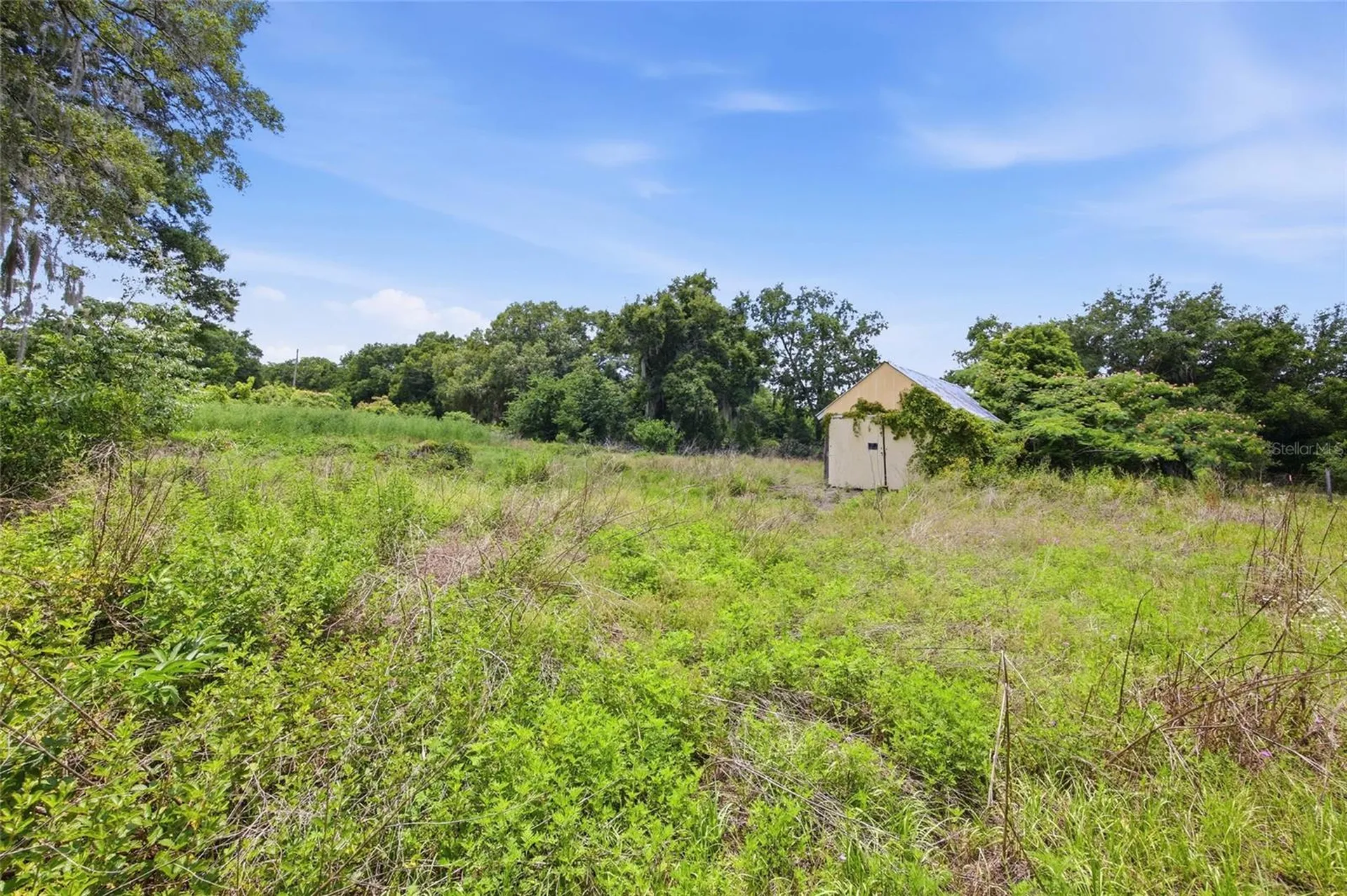 12630 U.s. 441 Belleview FL 34420
