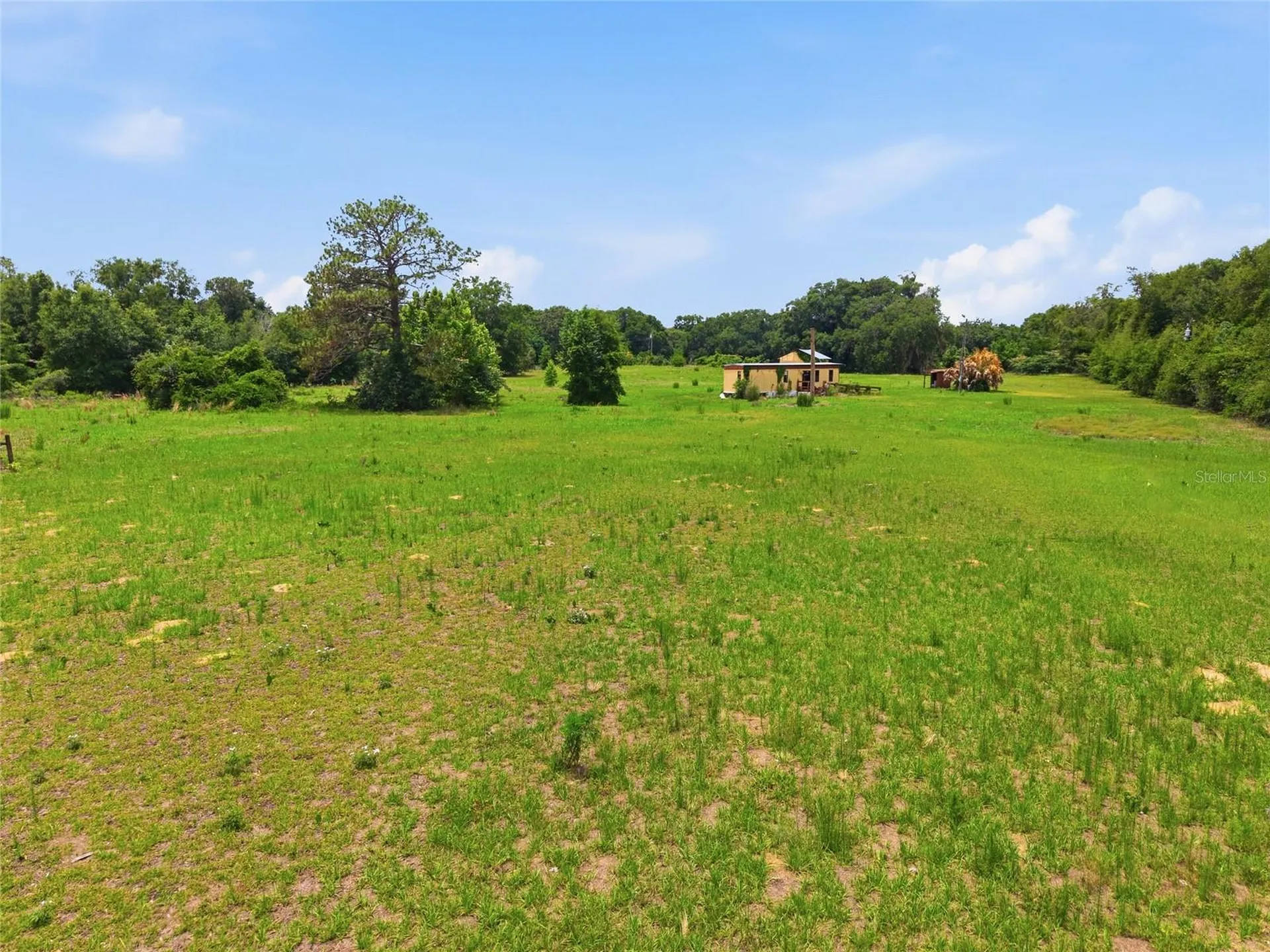 12630 U.s. 441 Belleview FL 34420
