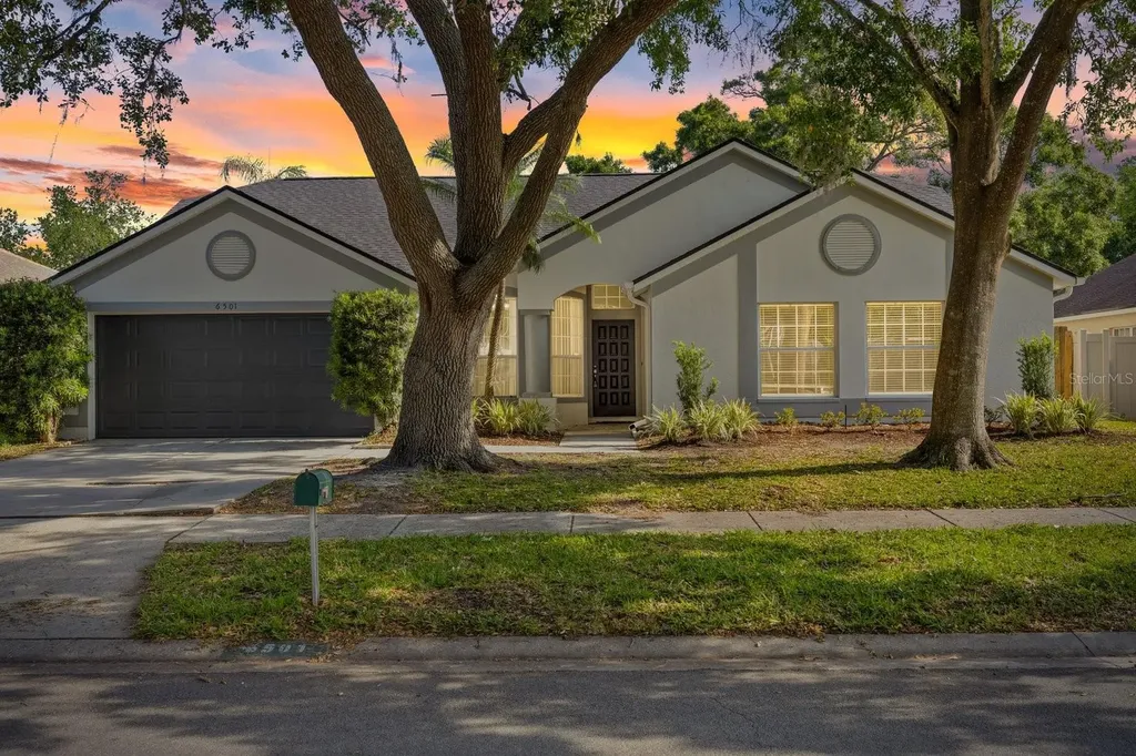 6501 Appaloosa Drive Tampa FL 33625