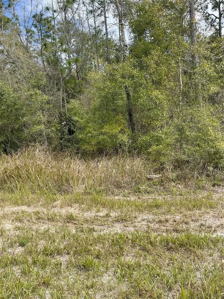 14139 Pigeon Road Hudson FL 34669