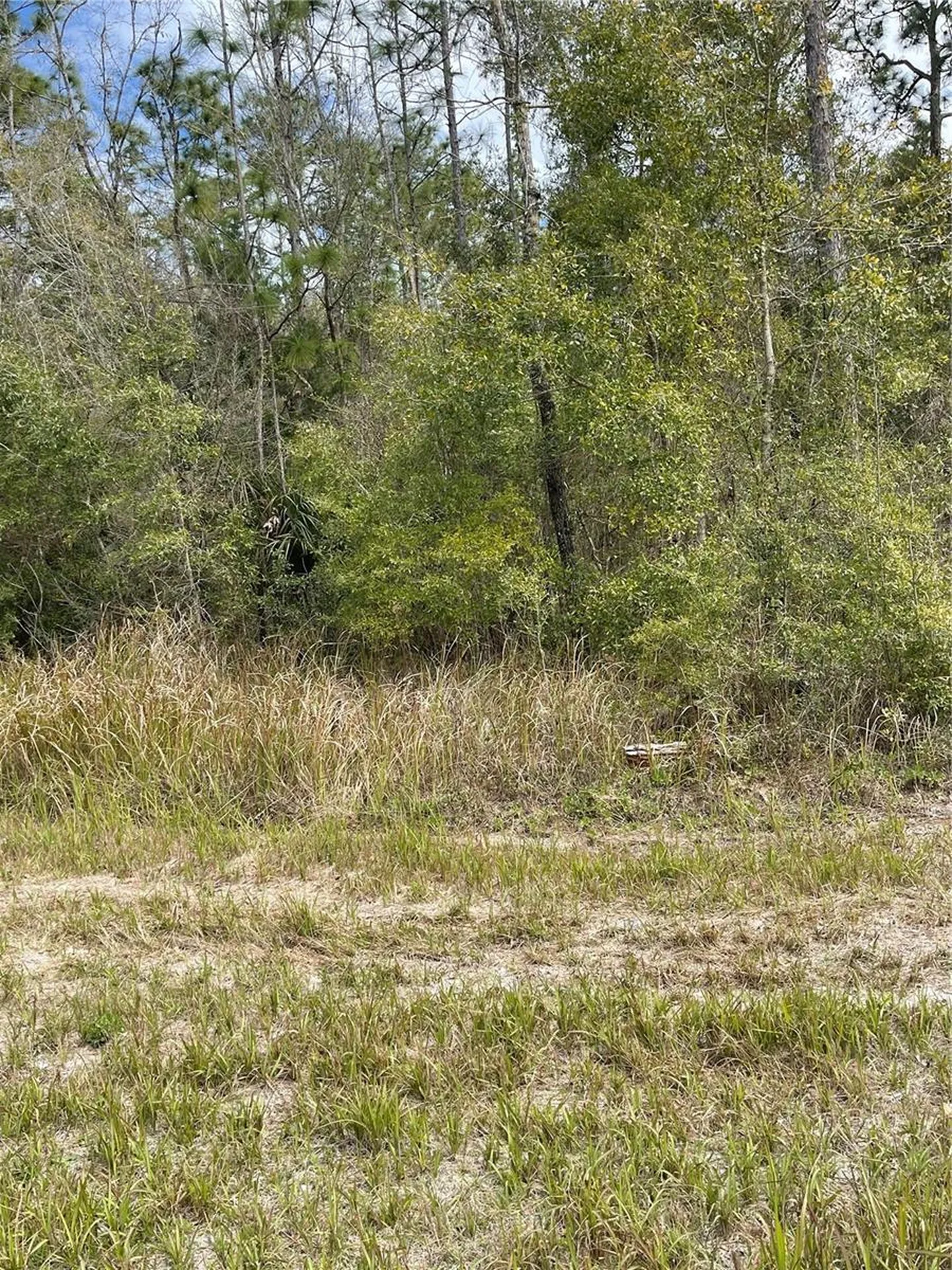 14139 Pigeon Road Hudson FL 34669
