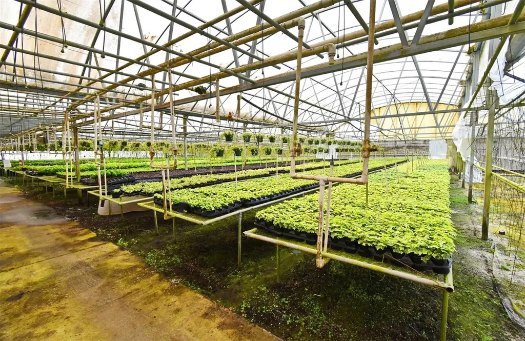 20900 State Road 44 Eustis FL 32736