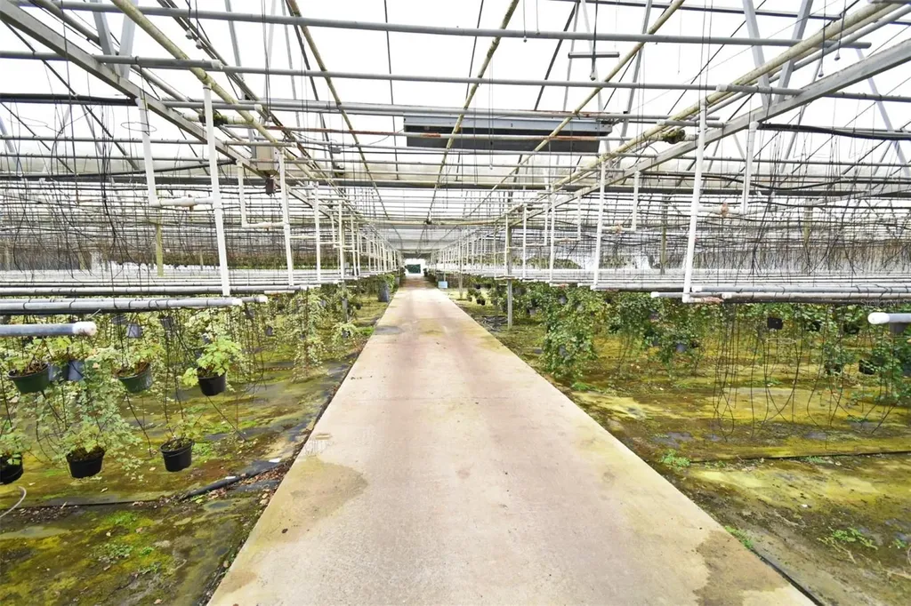 20900 State Road 44 Eustis FL 32736