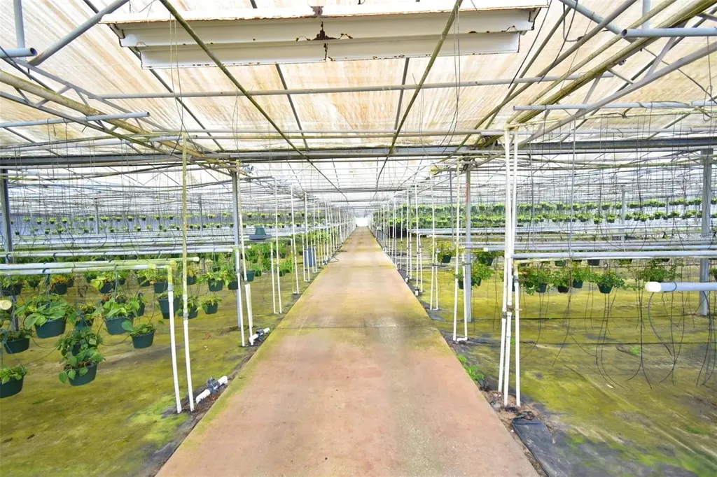 20900 State Road 44 Eustis FL 32736