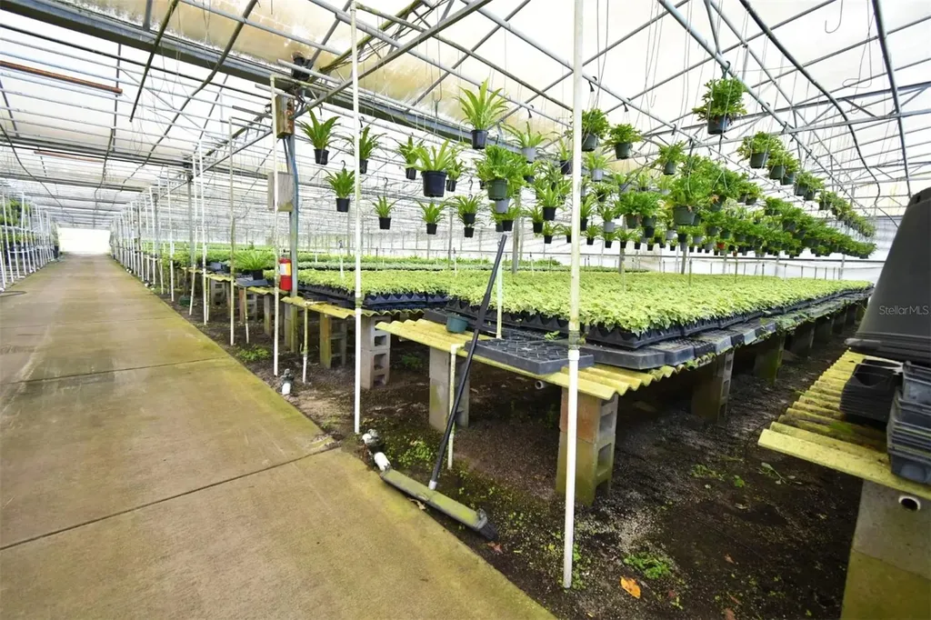 20900 State Road 44 Eustis FL 32736