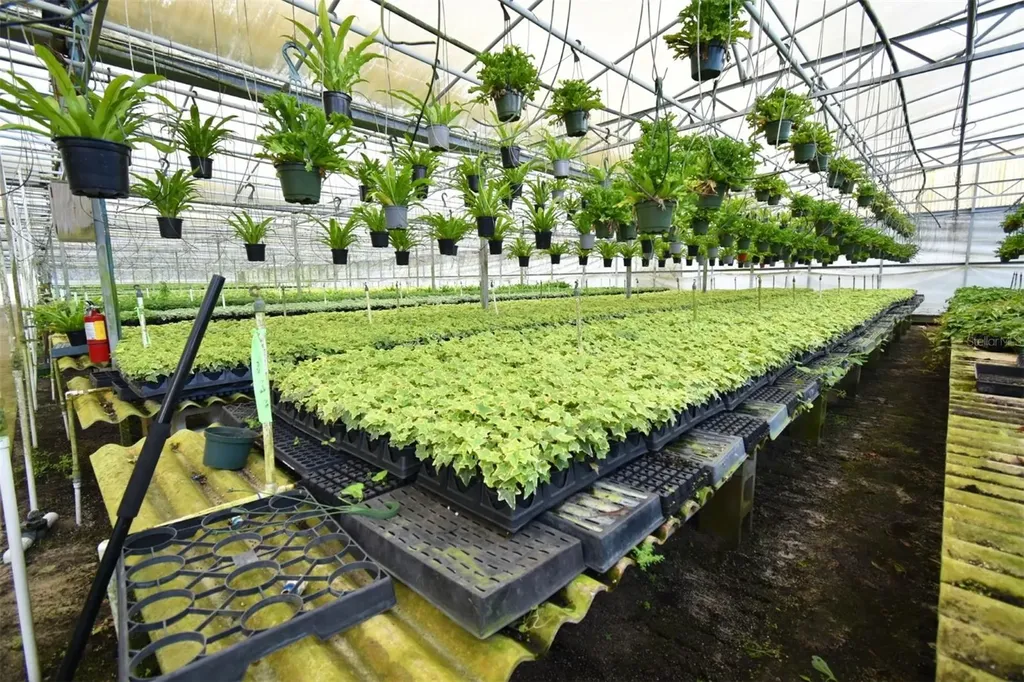 20900 State Road 44 Eustis FL 32736