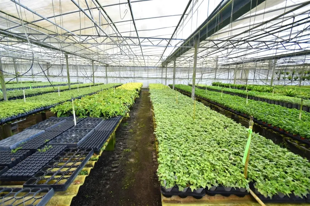 20900 State Road 44 Eustis FL 32736