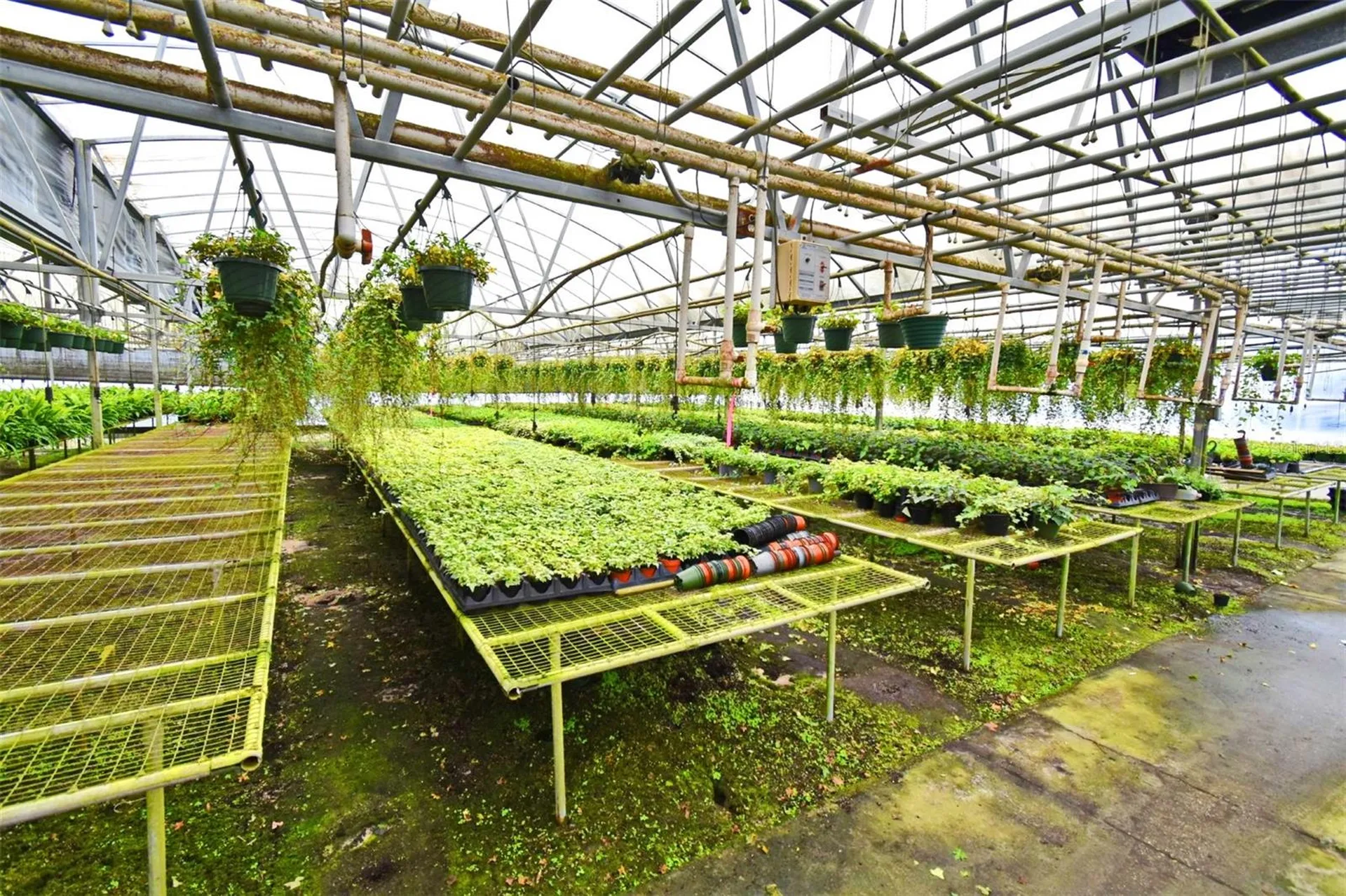 20900 State Road 44 Eustis FL 32736