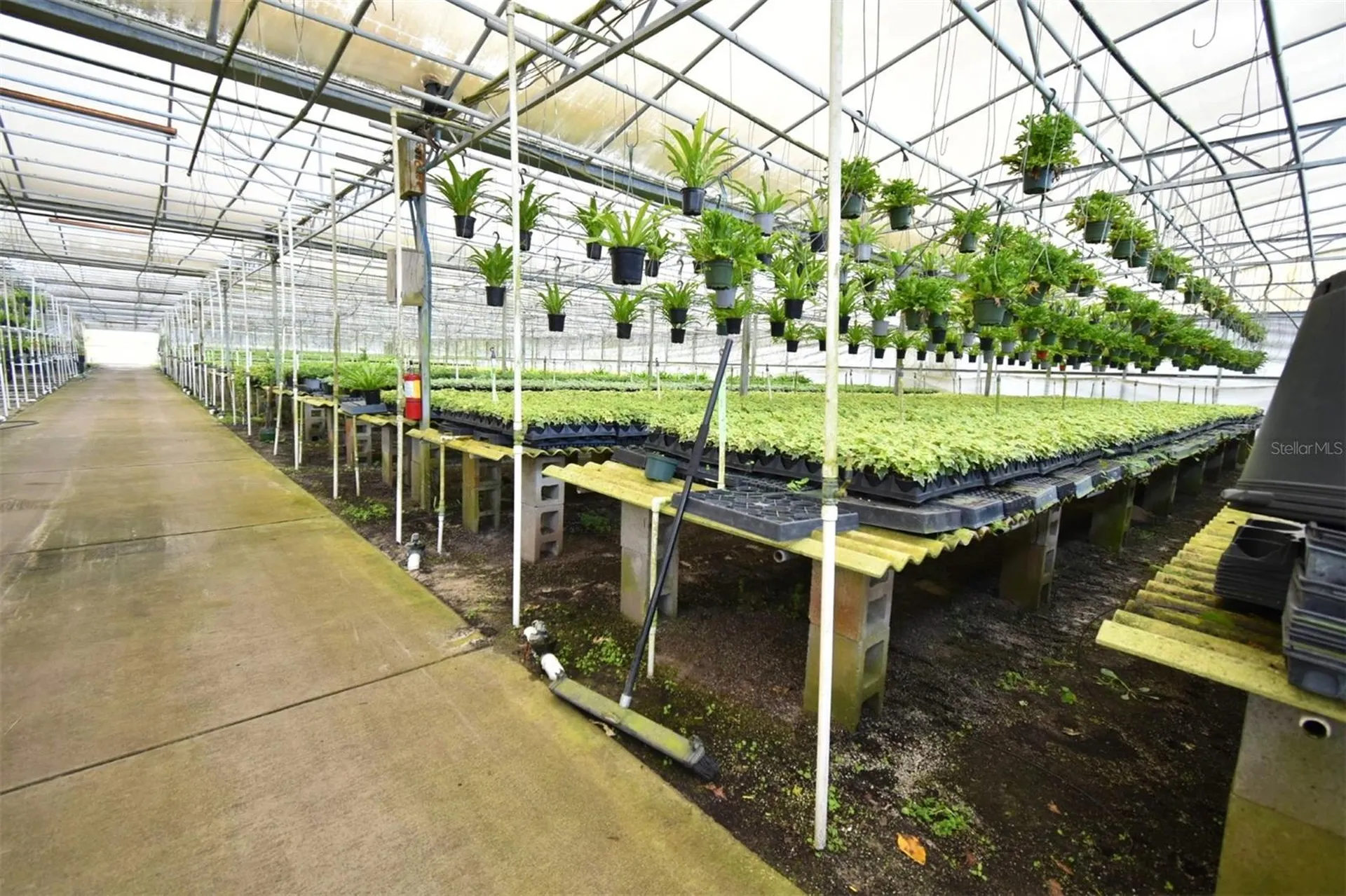 20900 State Road 44 Eustis FL 32736