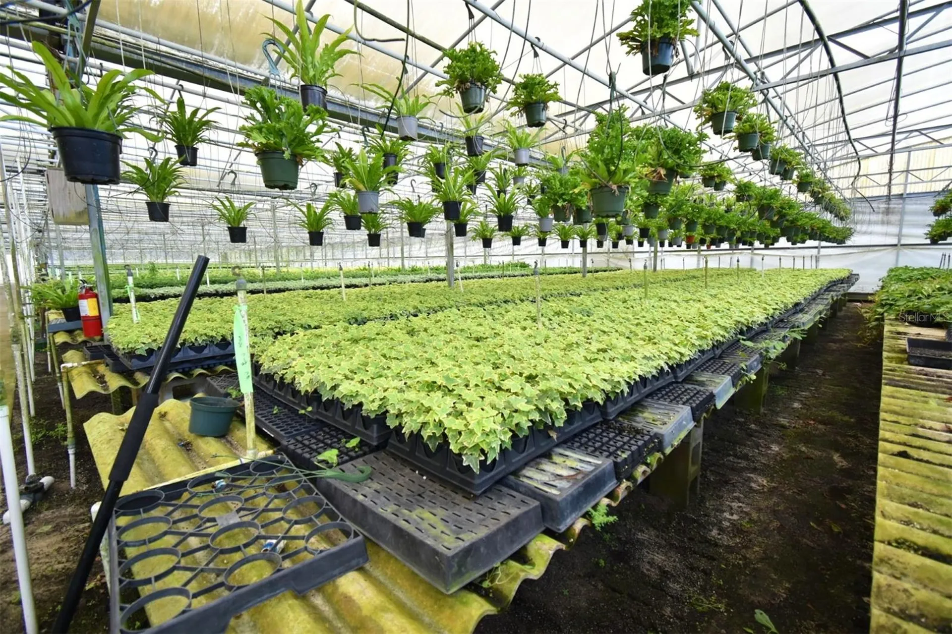 20900 State Road 44 Eustis FL 32736