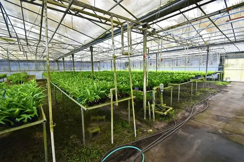 20900 State Road 44 Eustis FL 32736