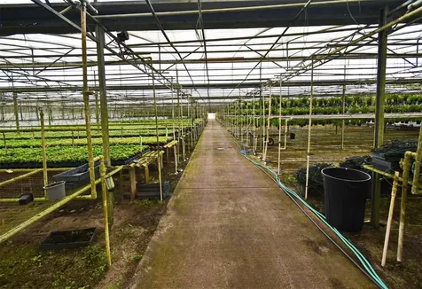 20900 State Road 44 Eustis FL 32736