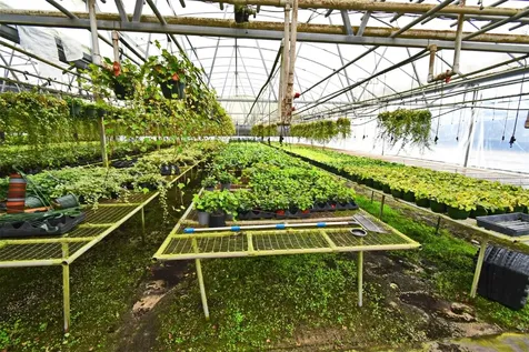 20900 State Road 44 Eustis FL 32736