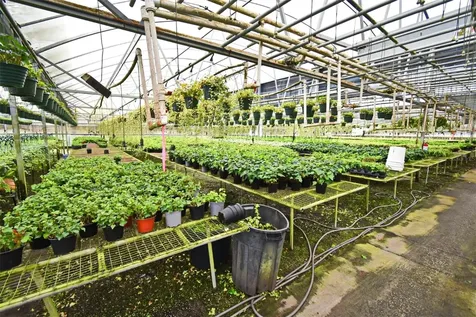 20900 State Road 44 Eustis FL 32736