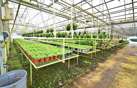 20900 State Road 44 Eustis FL 32736