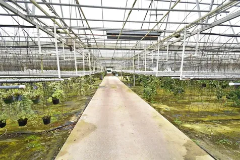 20900 State Road 44 Eustis FL 32736