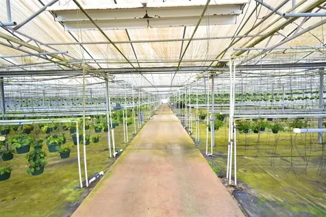 20900 State Road 44 Eustis FL 32736