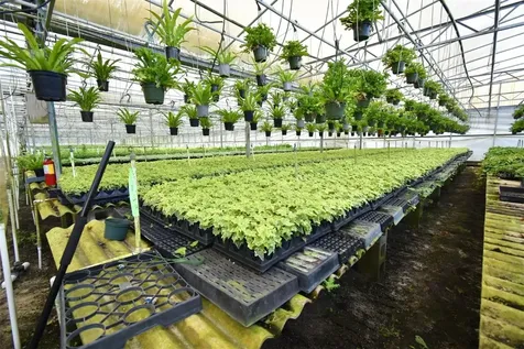 20900 State Road 44 Eustis FL 32736