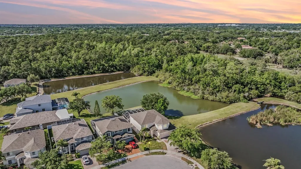 417 Ventura Drive Oldsmar FL 34677