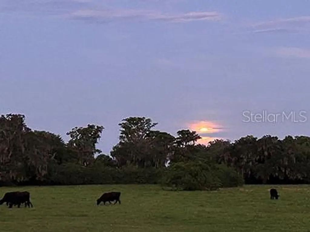 3650 Lake Tohopekaliga Road St Cloud FL 34772