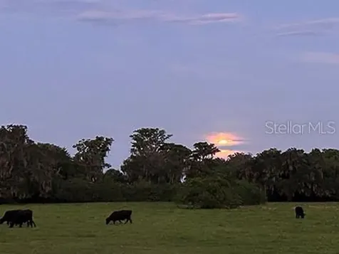3650 Lake Tohopekaliga Road St Cloud FL 34772