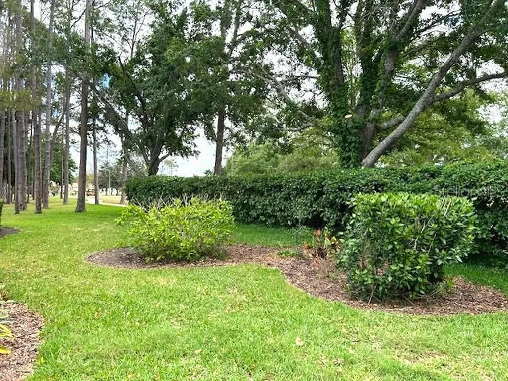 11752 Wayside Willow Court Hudson FL 34667