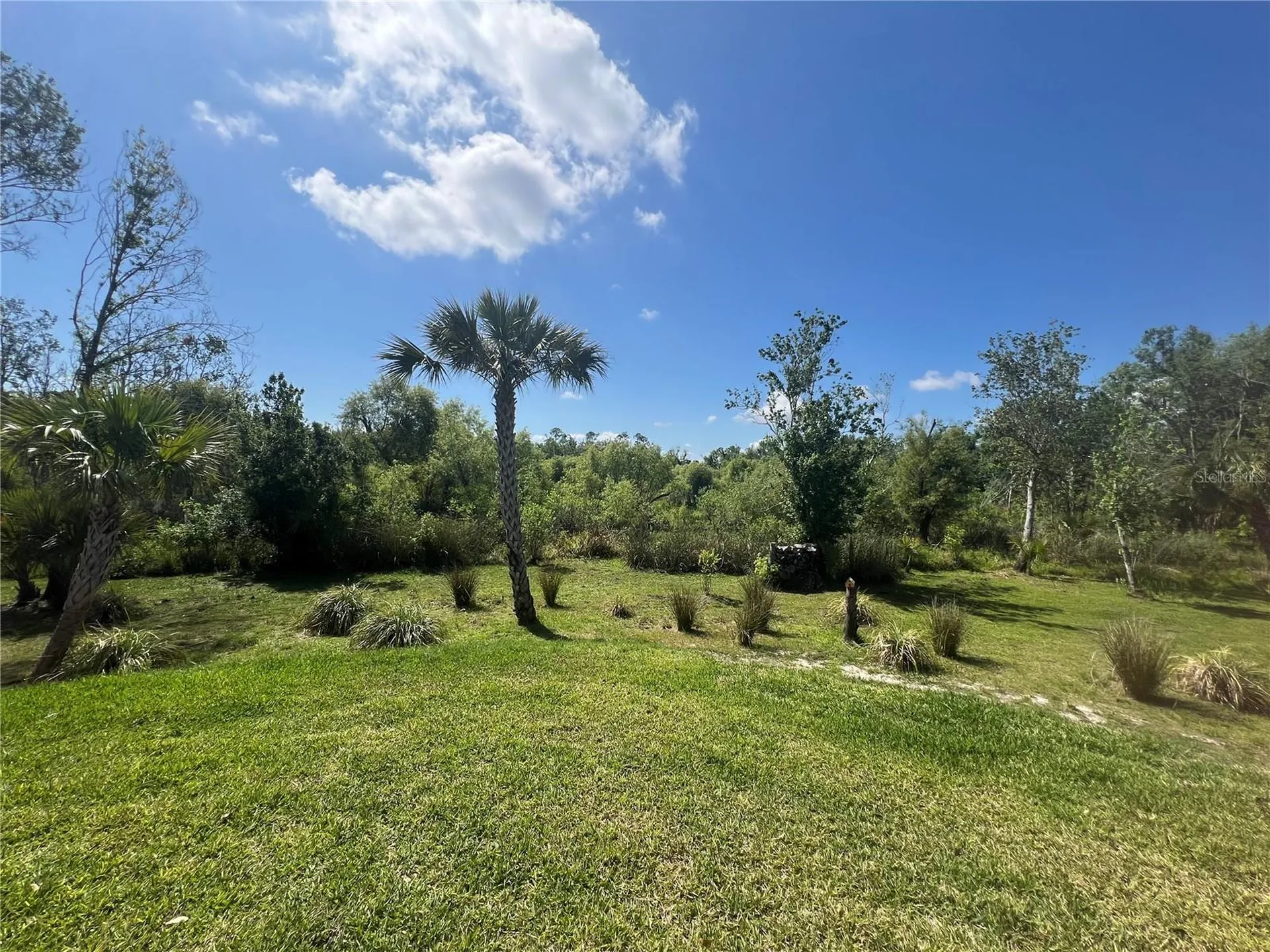 12116 SW Cr 769 SW County Road 769 Lake Suzy FL 34269