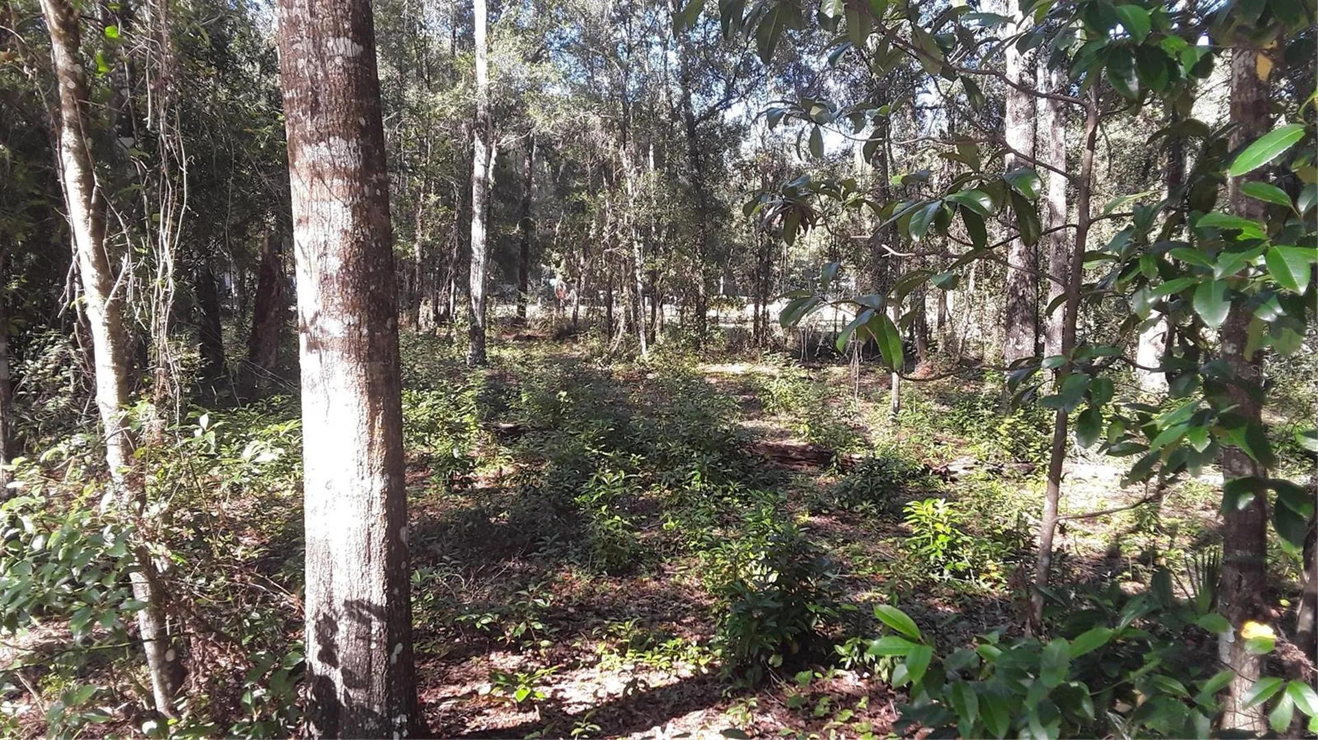 Beaverhead Street Alford FL 32420