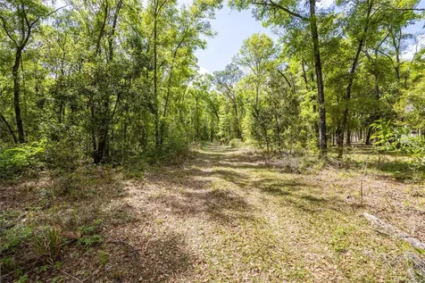 10530 61st Gainesville FL 32608
