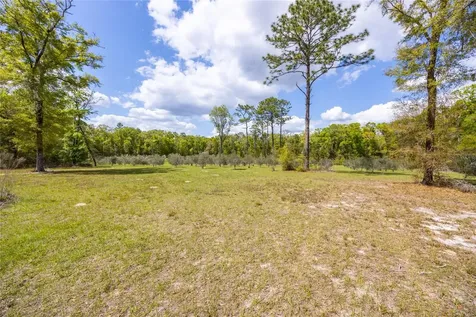 10530 61st Gainesville FL 32608