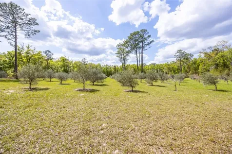 10530 61st Gainesville FL 32608