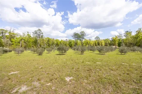 10530 61st Gainesville FL 32608