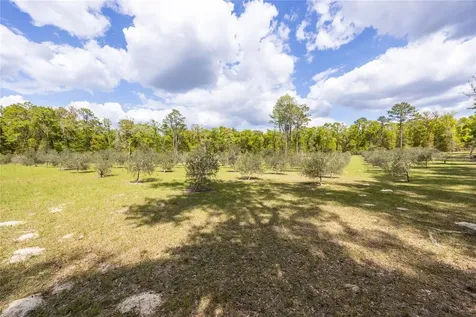 10530 61st Gainesville FL 32608