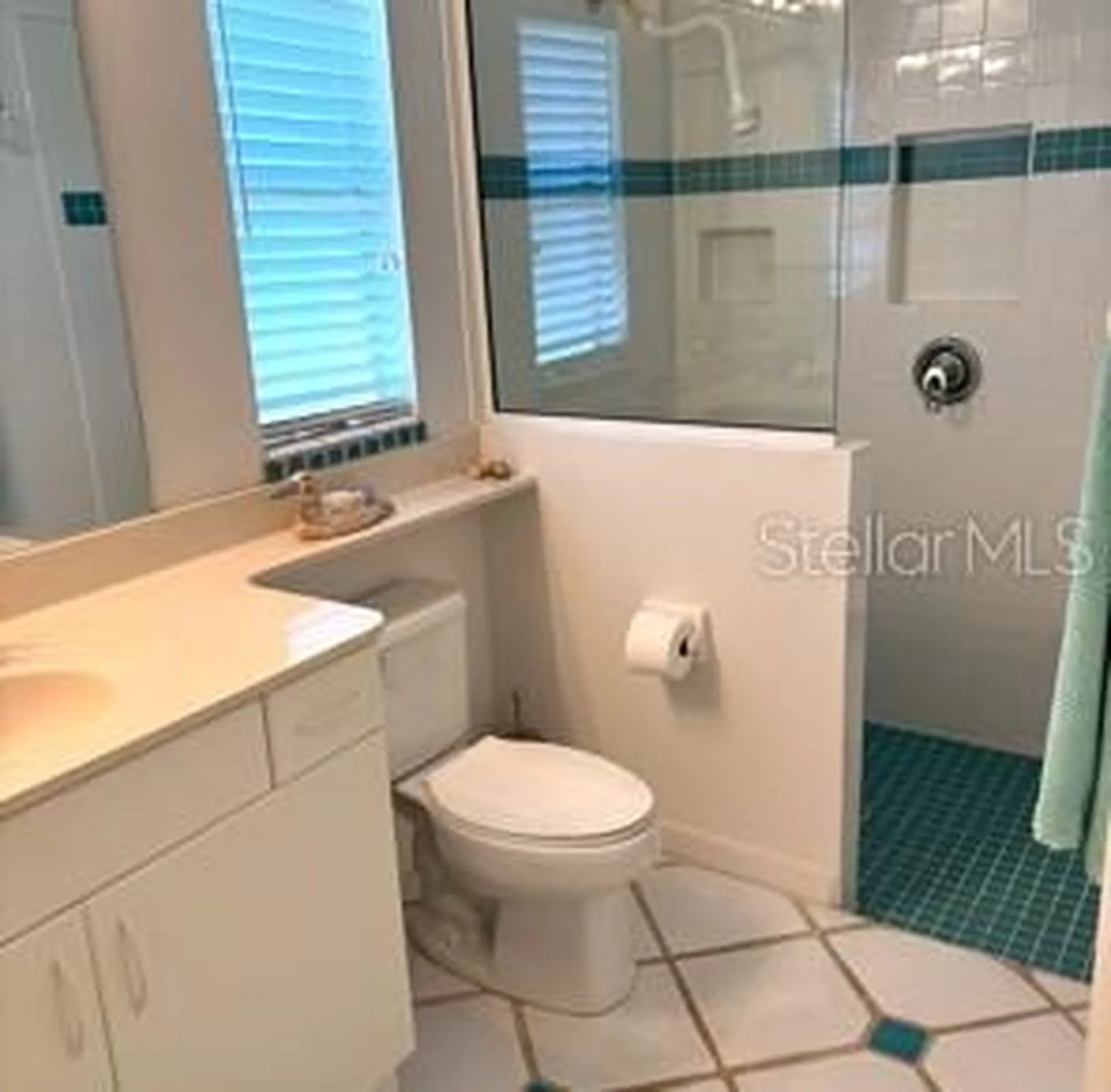 8974 Grey Oaks Avenue Sarasota FL 34238