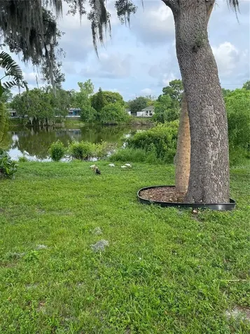 5736 Colonial Drive New Port Richey FL 34653