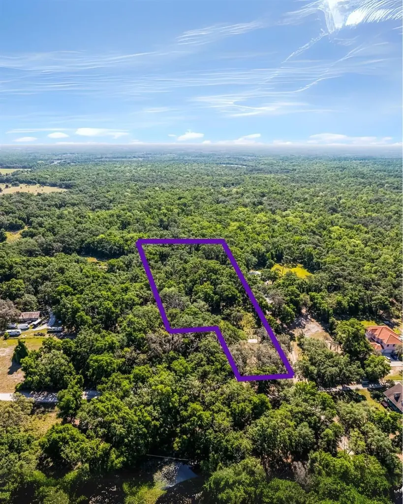 3633 Panther Path Road Lutz FL 33559