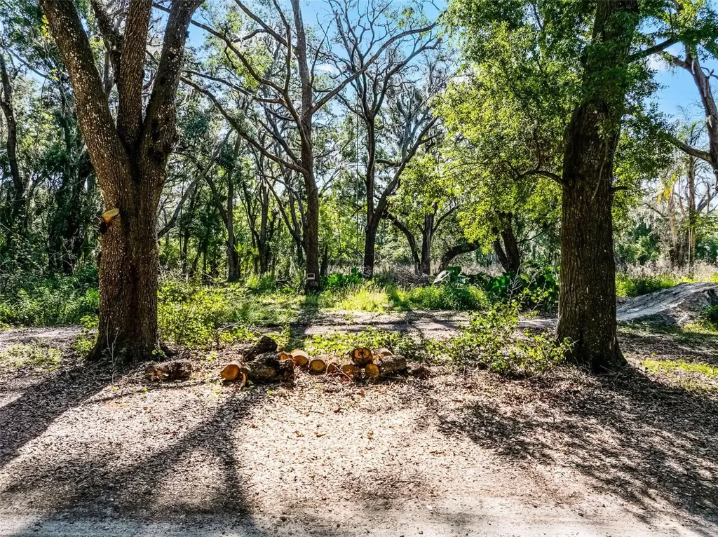 3633 Panther Path Road Lutz FL 33559