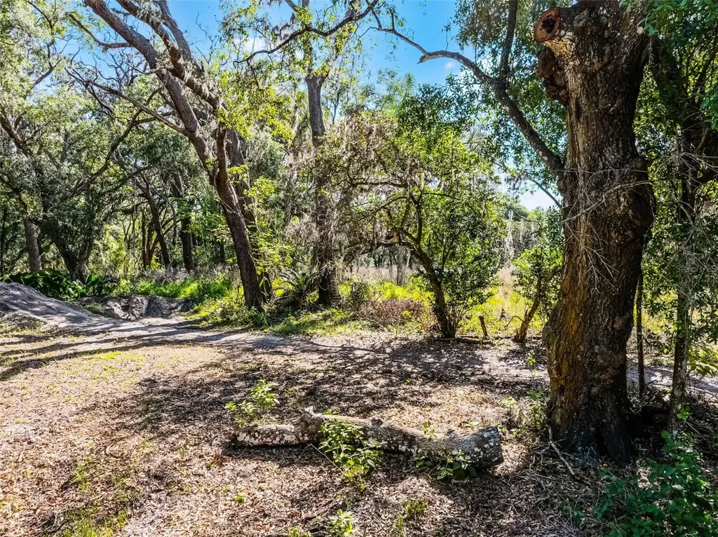 3633 Panther Path Road Lutz FL 33559