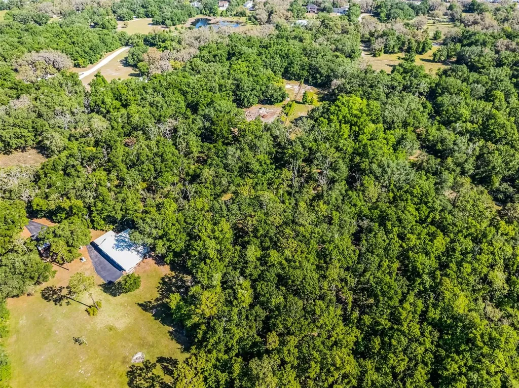 3633 Panther Path Road Lutz FL 33559