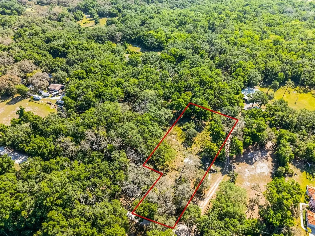 3633 Panther Path Road Lutz FL 33559